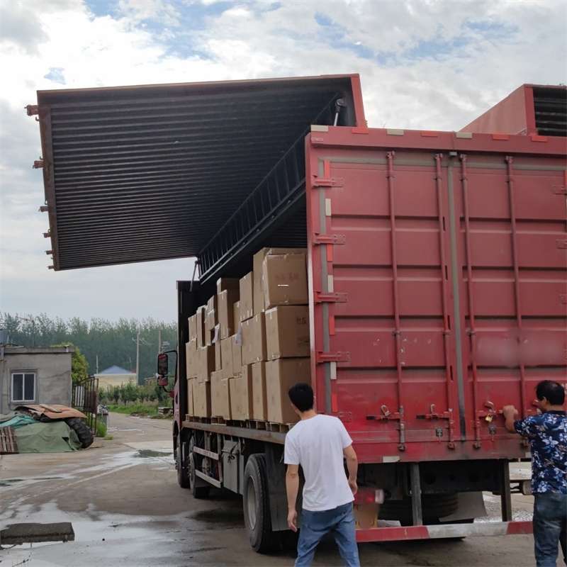 石排镇扎囊县：物流专线的高效货运之旅